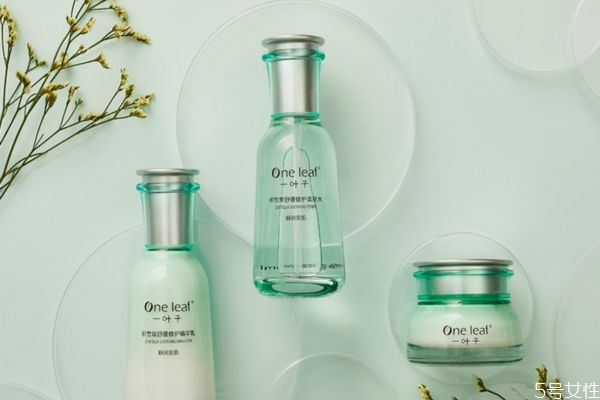一葉子水乳適合年齡 一葉子有哪些系列 一葉子水乳適合年齡 一葉子有哪些系列