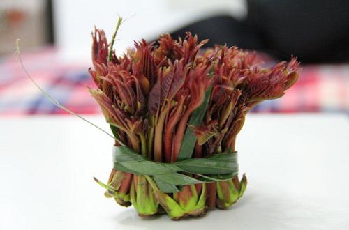 香椿發(fā)苦能吃嗎 香椿曬干后怎么做好吃 香椿發(fā)苦能吃嗎 香椿曬干后怎么做好吃