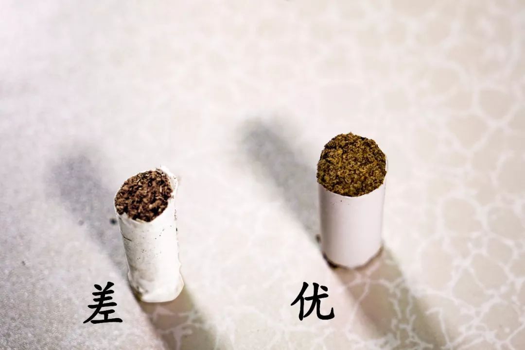 艾條的煙對身體有害嗎 艾條能長期用嗎 艾條的煙對身體有害嗎 艾條能長期用嗎
