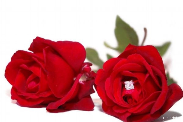 送彩禮男方去幾個人 送彩禮的規(guī)矩 送彩禮男方去幾個人 送彩禮的規(guī)矩