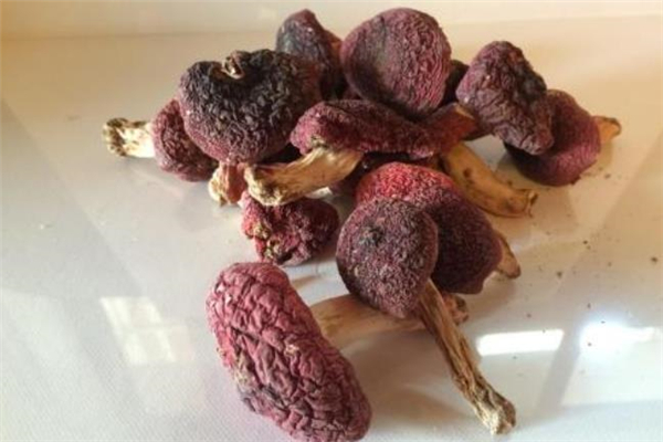 紅蘑菇怎么做好吃 紅蘑菇能治肺癌嗎 紅蘑菇怎么做好吃 紅蘑菇能治肺癌嗎