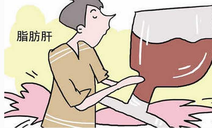 脂肪肝適合喝蜂蜜嗎 脂肪肝能吃雞蛋嗎 脂肪肝適合喝蜂蜜嗎 脂肪肝能吃雞蛋嗎