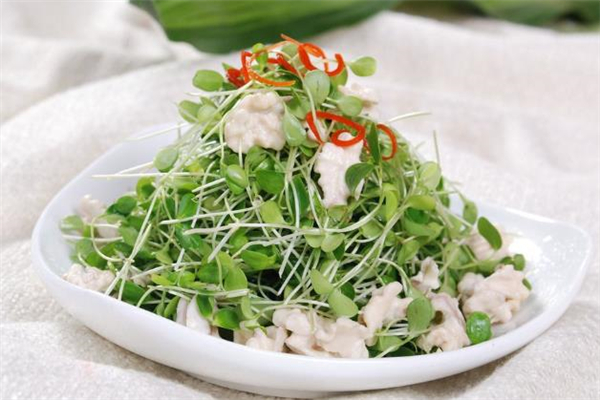 香椿苗的做法 香椿苗適合哪些人吃 香椿苗的做法 香椿苗適合哪些人吃