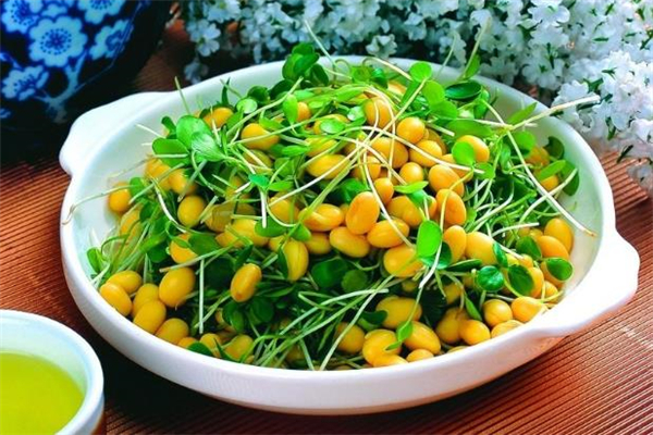 香椿苗多少錢(qián)一斤 香椿苗在哪買(mǎi)