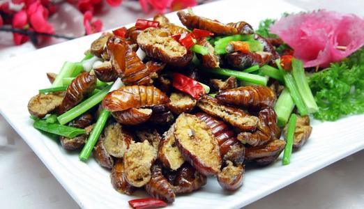 蟬蛹和蠶蛹的區(qū)別 一天適合吃多少蠶蛹 蟬蛹和蠶蛹的區(qū)別 一天適合吃多少蠶蛹