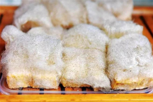 毛豆腐是什么 毛豆腐好吃嗎 毛豆腐是什么 毛豆腐好吃嗎