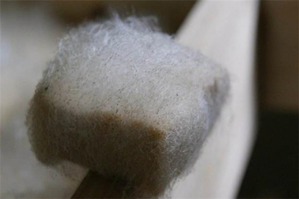 毛豆腐什么人不能吃 孕婦能吃毛豆腐嗎 毛豆腐什么人不能吃 孕婦能吃毛豆腐嗎