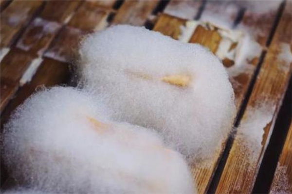 胃炎能吃毛豆腐嗎 胃寒的人能吃毛豆腐嗎 胃炎能吃毛豆腐嗎 胃寒的人能吃毛豆腐嗎