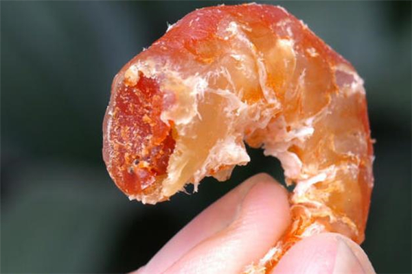 干蝦仁怎么泡 干蝦仁怎么吃 干蝦仁怎么泡 干蝦仁怎么吃