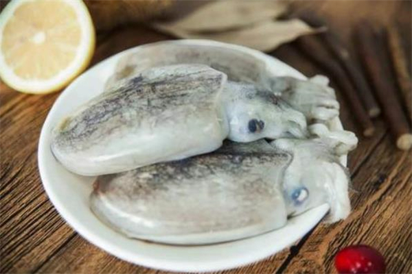 墨魚什么時候吃最好 墨魚搭配什么一起吃最好 墨魚什么時候吃最好 墨魚搭配什么一起吃最好