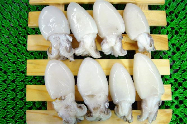 墨魚什么時候吃最好 墨魚搭配什么一起吃最好 墨魚什么時候吃最好 墨魚搭配什么一起吃最好