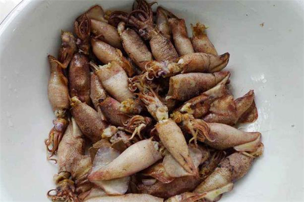 墨魚什么時候吃最好 墨魚搭配什么一起吃最好 墨魚什么時候吃最好 墨魚搭配什么一起吃最好