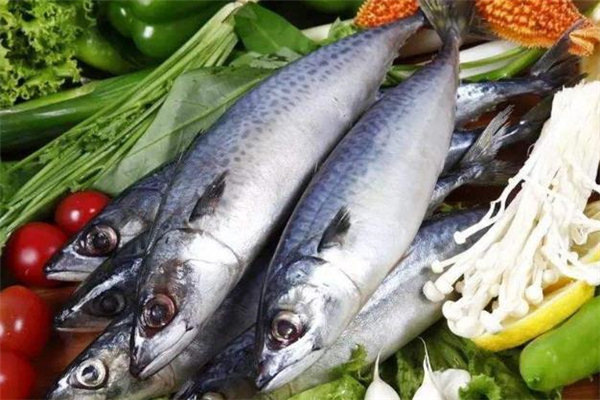 鲅魚(yú)什么人不能吃 鲅魚(yú)不能和什么一起吃