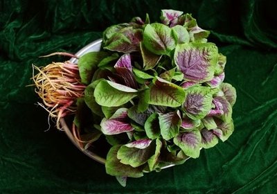 梅干菜越黑越好嗎 干的梅干菜要泡多久