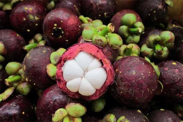 山竹放冷藏還是冷凍 山竹冷藏能保存多久 山竹放冷藏還是冷凍 山竹冷藏能保存多久