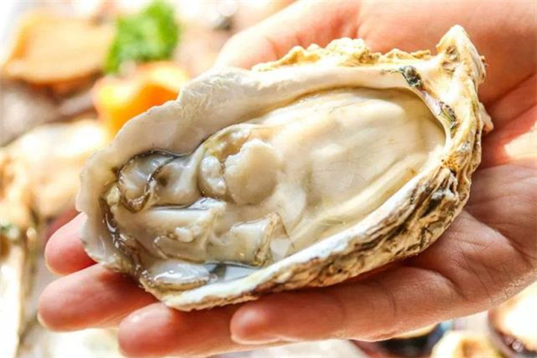 生蠔怎么解凍 凍過的生蠔肉怎么做好吃 生蠔怎么解凍 凍過的生蠔肉怎么做好吃