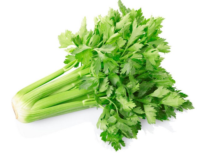 芹菜是感光食物嗎 芹菜為什么是感光食物 芹菜是感光食物嗎 芹菜為什么是感光食物