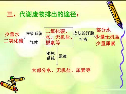 人體中含有尿素嗎 尿素過(guò)高有什么影響