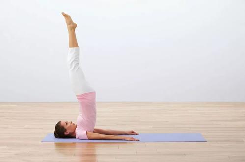 肩倒立能減肚子嗎 胖的人適合倒立嗎 肩倒立能減肚子嗎 胖的人適合倒立嗎