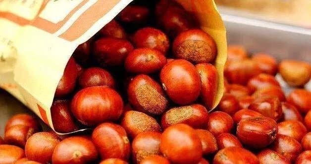 板栗和毛栗子的區(qū)別 栗子都是有毛的嗎 板栗和毛栗子的區(qū)別 栗子都是有毛的嗎