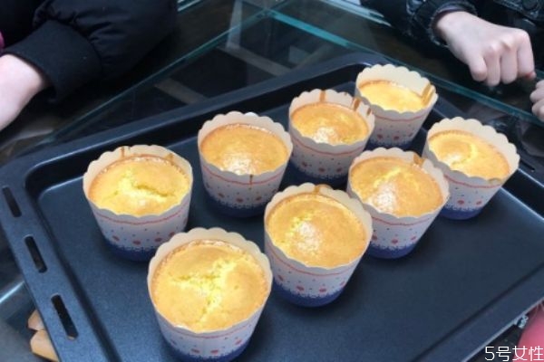 自制蛋糕需要什么材料 自制蛋糕的方法 自制蛋糕需要什么材料 自制蛋糕的方法