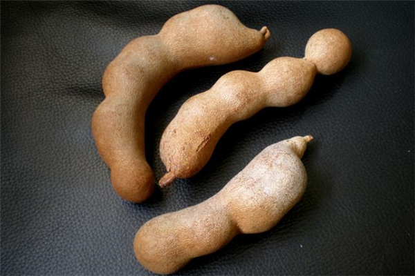 吃酸角能預(yù)防癌癥嗎 酸角能防輻射嗎 吃酸角能預(yù)防癌癥嗎 酸角能防輻射嗎