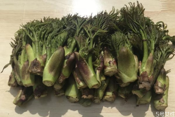 什么是刺龍芽 刺龍芽有什么作用 什么是刺龍芽 刺龍芽有什么作用