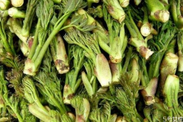 刺龍芽可以吃 刺龍芽有什么營養(yǎng)價值 刺龍芽可以吃 刺龍芽有什么營養(yǎng)價值