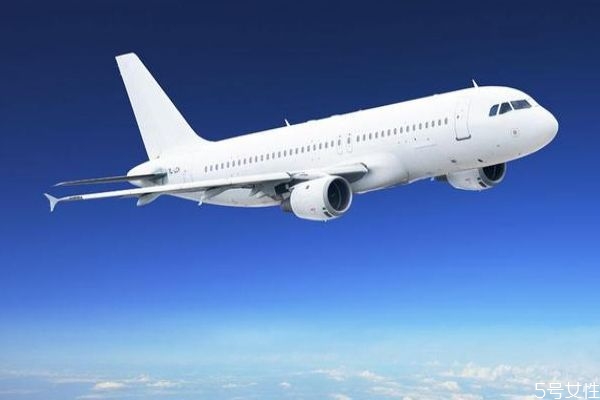 乘坐飛機的安全守則 為什么張柏芝一家被趕下飛機 乘坐飛機的安全守則 為什么張柏芝一家被趕下飛機