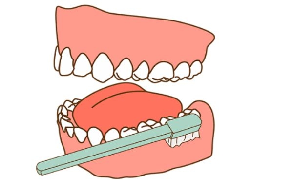 早上起來不刷牙先吃飯可以嗎 早上刷牙后吃飯的好處 早上起來不刷牙先吃飯可以嗎 早上刷牙后吃飯的好處
