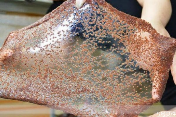 可以天天敷嗎海藻面膜 使用海藻面膜要注意什么 可以天天敷嗎海藻面膜 使用海藻面膜要注意什么