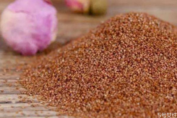 可以天天敷嗎海藻面膜 使用海藻面膜要注意什么 可以天天敷嗎海藻面膜 使用海藻面膜要注意什么