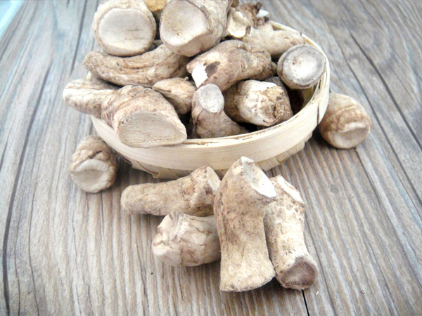 香菇根有毒嗎 香菇根的功效有哪些 香菇根有毒嗎 香菇根的功效有哪些