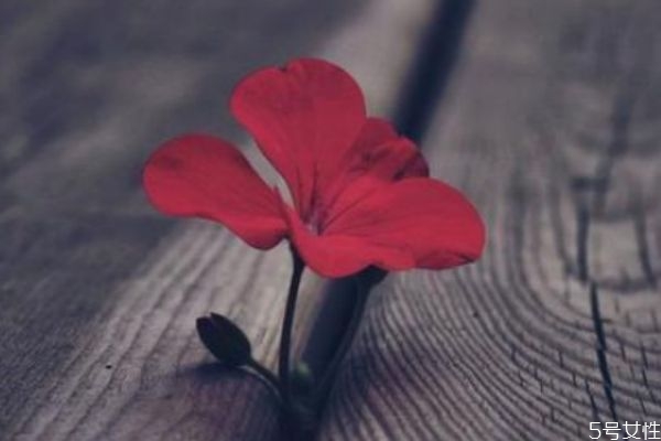 為什么越來越多的女性不愿意結(jié)婚 女性選擇單身的原因 為什么越來越多的女性不愿意結(jié)婚 女性選擇單身的原因