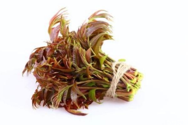 香椿可以怎么吃 香椿怎么做好吃 香椿可以怎么吃 香椿怎么做好吃