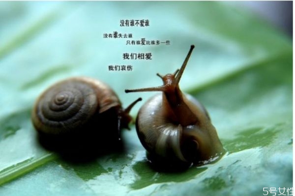 現(xiàn)實(shí)的婚姻 先婚后愛(ài) 現(xiàn)實(shí)的婚姻 先婚后愛(ài)