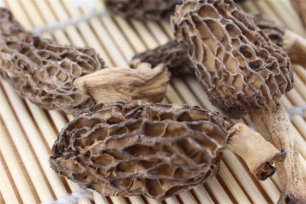 羊肚菌可以天天吃嗎 羊肚菌多久吃一次 羊肚菌可以天天吃嗎 羊肚菌多久吃一次