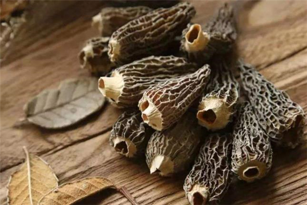 羊肚菌發(fā)霉了還能吃嗎 吃了發(fā)霉的羊肚菌會(huì)怎樣 羊肚菌發(fā)霉了還能吃嗎 吃了發(fā)霉的羊肚菌會(huì)怎樣