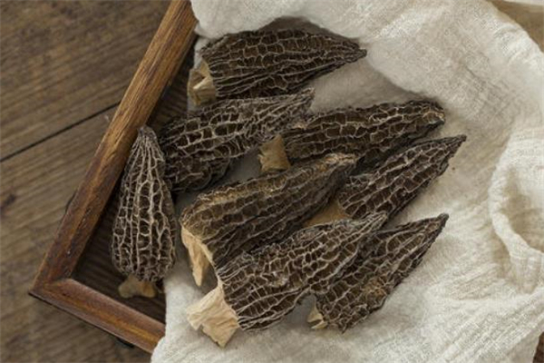 蕁麻疹可以吃羊肚菌嗎 吃羊肚菌會引起蕁麻疹嗎 蕁麻疹可以吃羊肚菌嗎 吃羊肚菌會引起蕁麻疹嗎