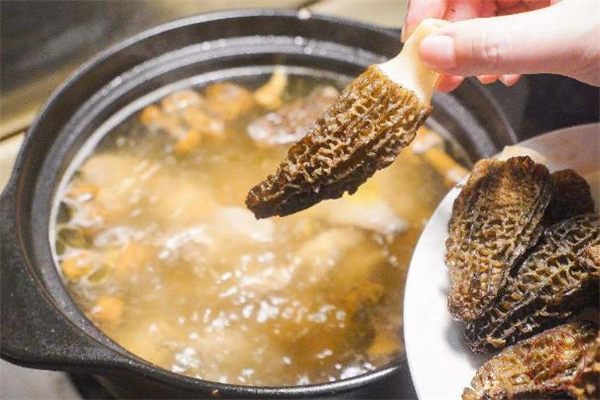 羊肚菌燉雞的做法 羊肚菌燉雞用什么雞最好 羊肚菌燉雞的做法 羊肚菌燉雞用什么雞最好