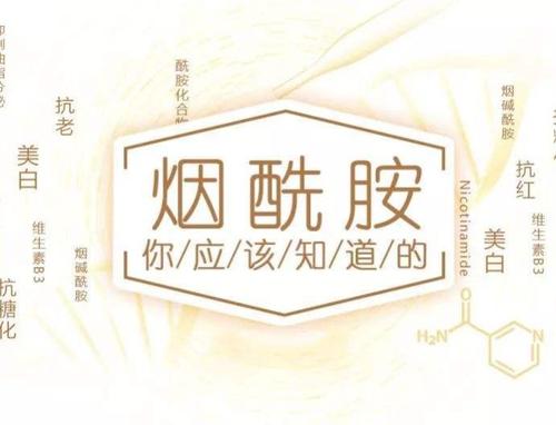 煙酰胺和維生素b3是什么關(guān)系 維生素b3有美白功效嗎