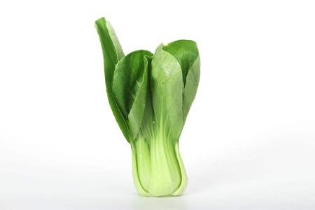 上海青菜飯怎么做好吃 上海青怎么保存 上海青菜飯怎么做好吃 上海青怎么保存