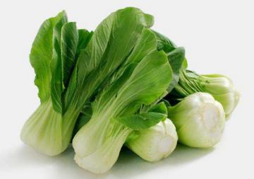 上海青菜飯怎么做好吃 上海青怎么保存 上海青菜飯怎么做好吃 上海青怎么保存