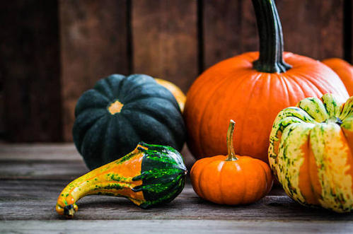 多吃南瓜可以補(bǔ)氣血嗎 牛肉南瓜怎么做好吃 多吃南瓜可以補(bǔ)氣血嗎 牛肉南瓜怎么做好吃