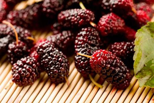 桑葚補(bǔ)血效果好嗎 桑葚牛排燉湯怎么做好吃 桑葚補(bǔ)血效果好嗎 桑葚牛排燉湯怎么做好吃