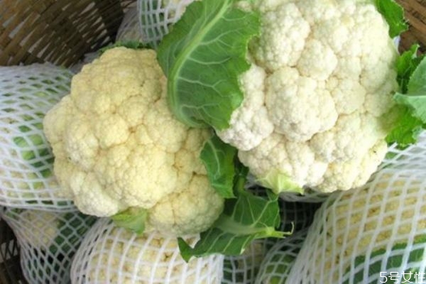 花菜怎么做好吃 花菜的簡單做法有什么 花菜怎么做好吃 花菜的簡單做法有什么