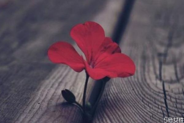 什么樣的人不能嫁 常見的擇偶標準有什么 什么樣的人不能嫁 常見的擇偶標準有什么