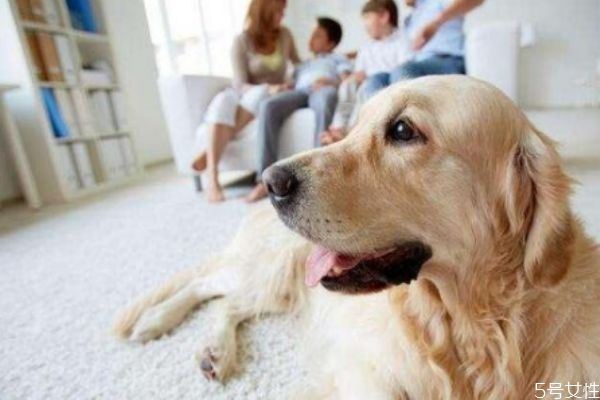 寵物對(duì)于家庭有什么意義 養(yǎng)寵物的家庭有什么好 寵物對(duì)于家庭有什么意義 養(yǎng)寵物的家庭有什么好