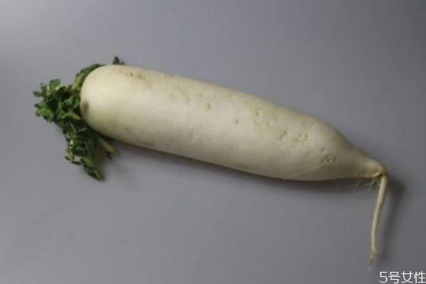 白蘿卜發(fā)芽還能吃嗎 白蘿卜可以放多久 白蘿卜發(fā)芽還能吃嗎 白蘿卜可以放多久