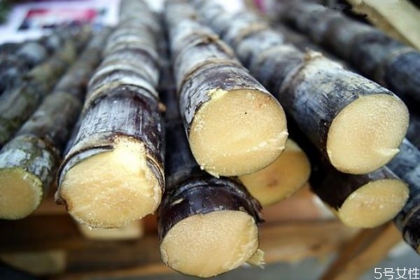 吃甘蔗會(huì)上火嗎 甘蔗發(fā)霉可以吃嗎 吃甘蔗會(huì)上火嗎 甘蔗發(fā)霉可以吃嗎